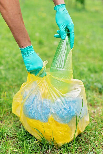 Wimbledon Park garden clearance and green waste removal